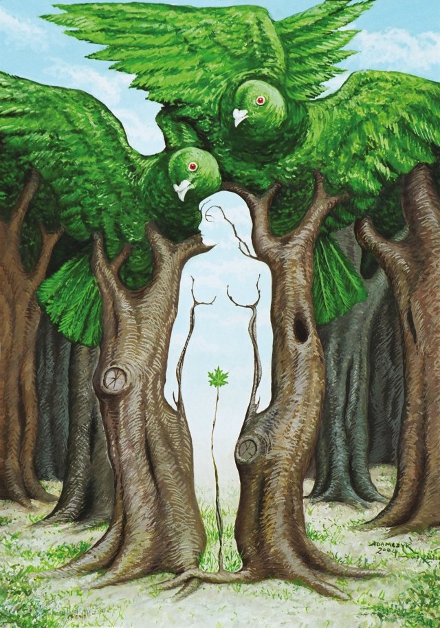 Driada