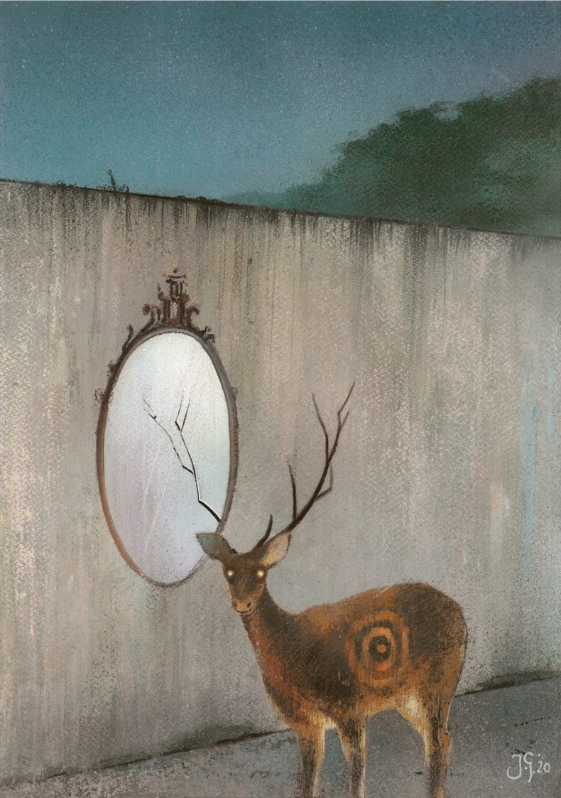 Fragility