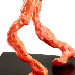 Tenaci Perfectus - Orange