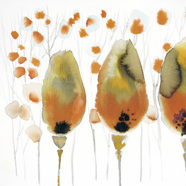 Tulipany jesienne
