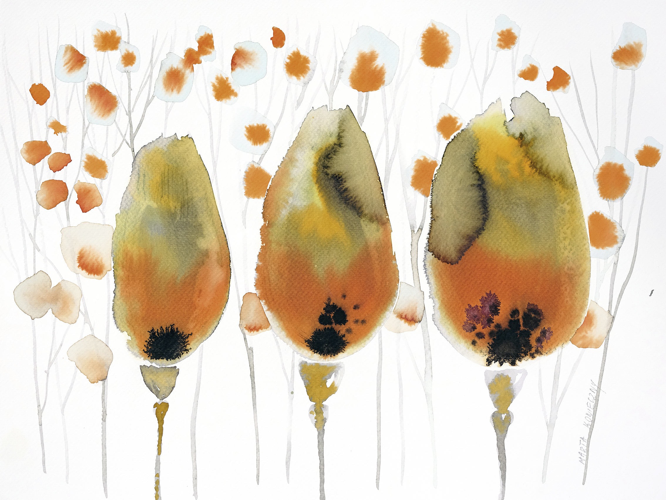Tulipany jesienne