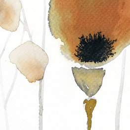 Tulipany jesienne