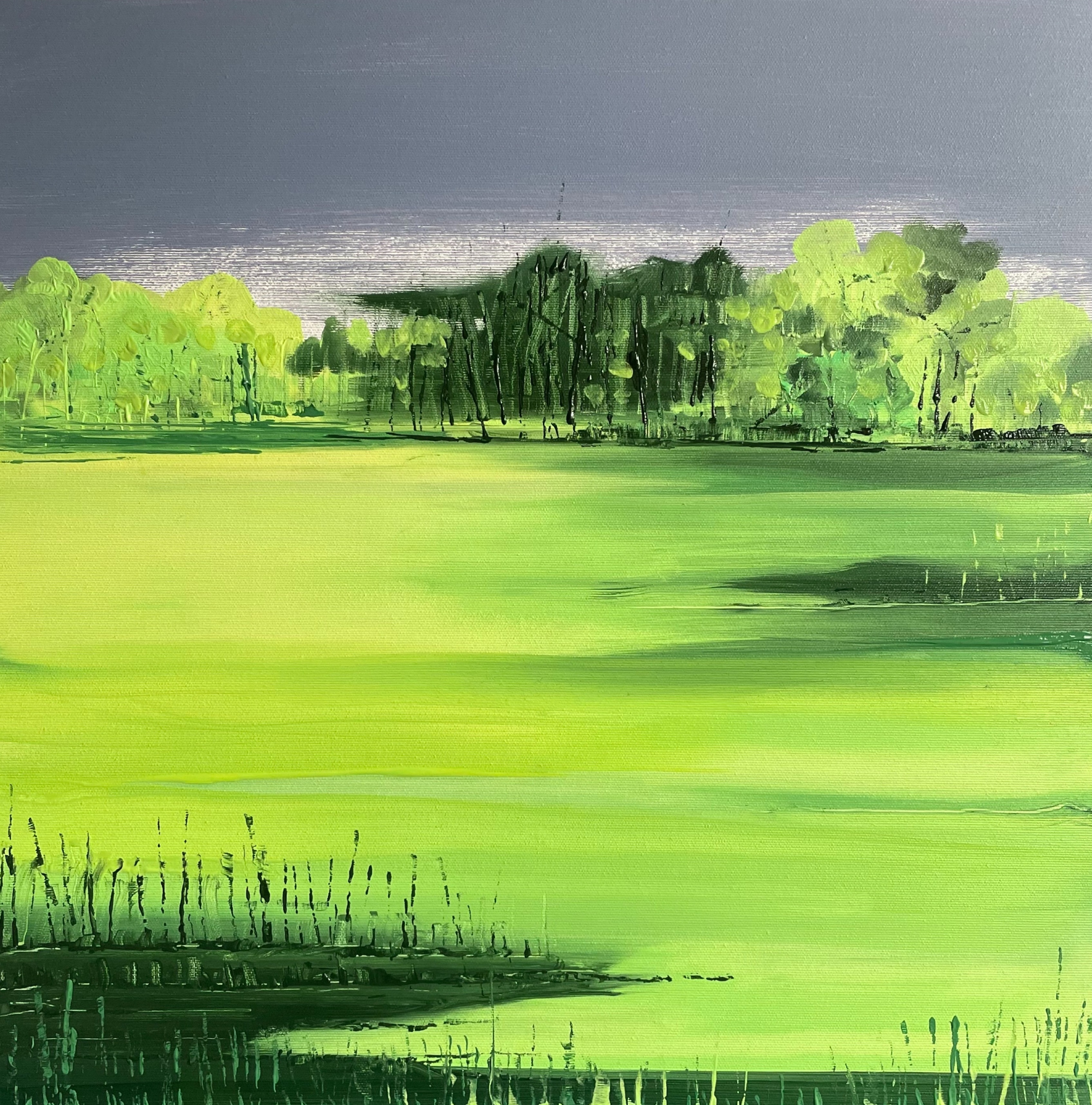 Landes 5