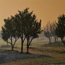 Paesaggio