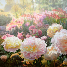Peonie o poranku