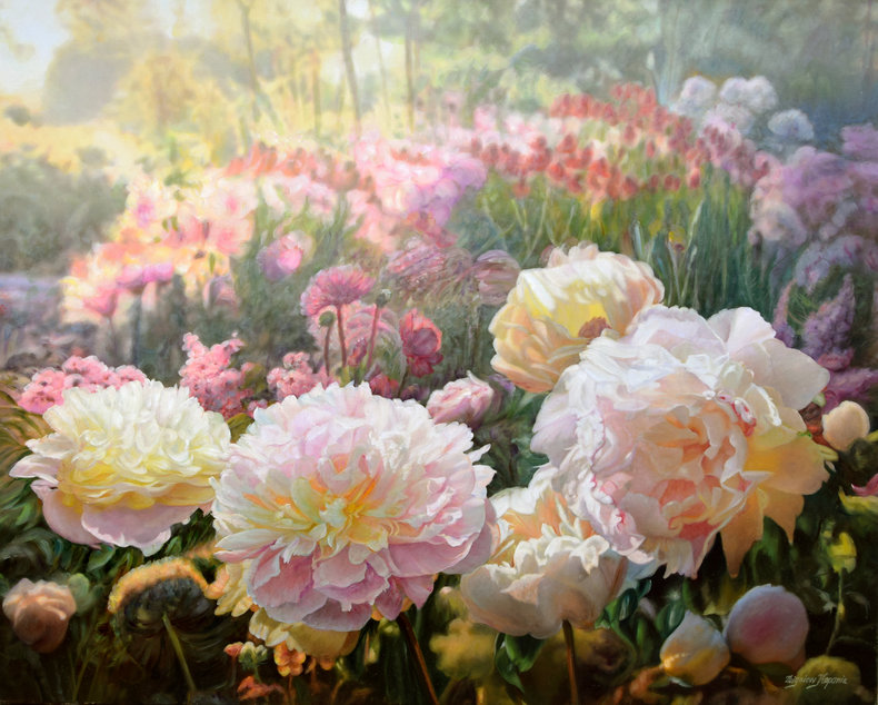 Peonie o poranku