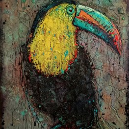 Mr. Tucan