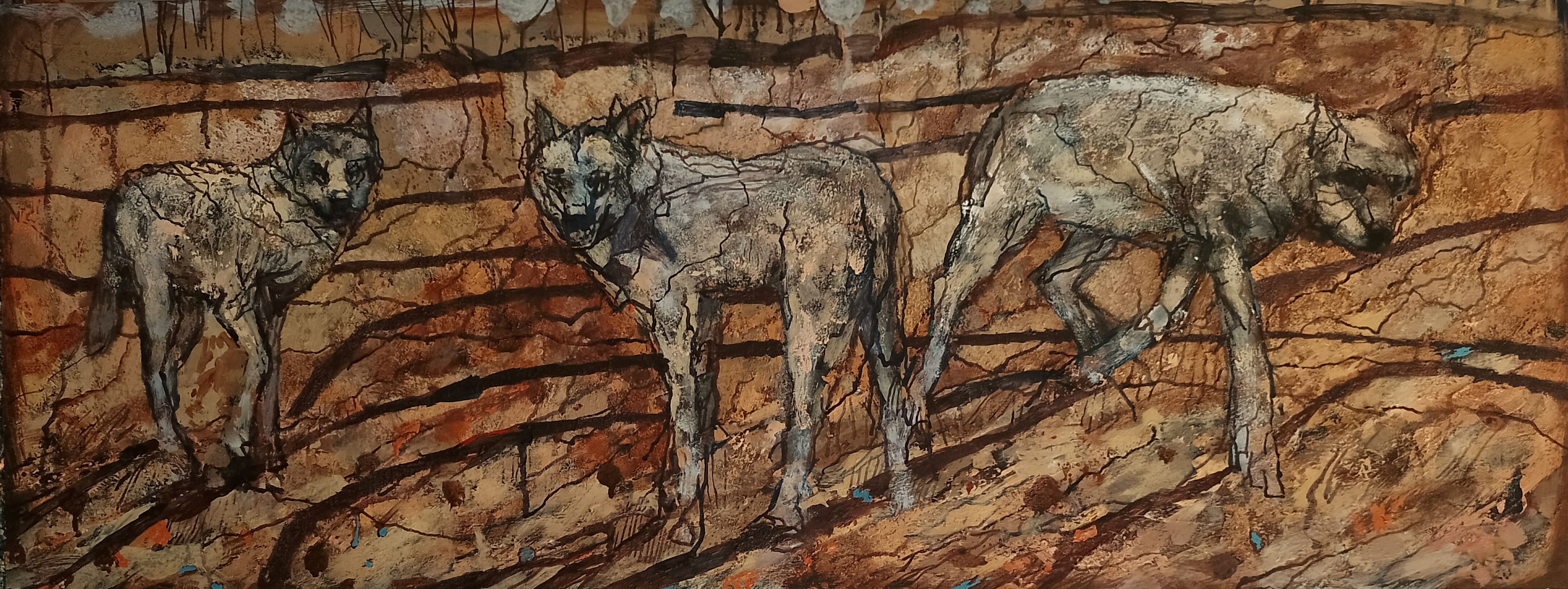 Drogi wolne