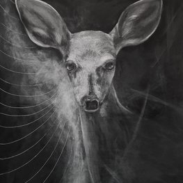 Focus species