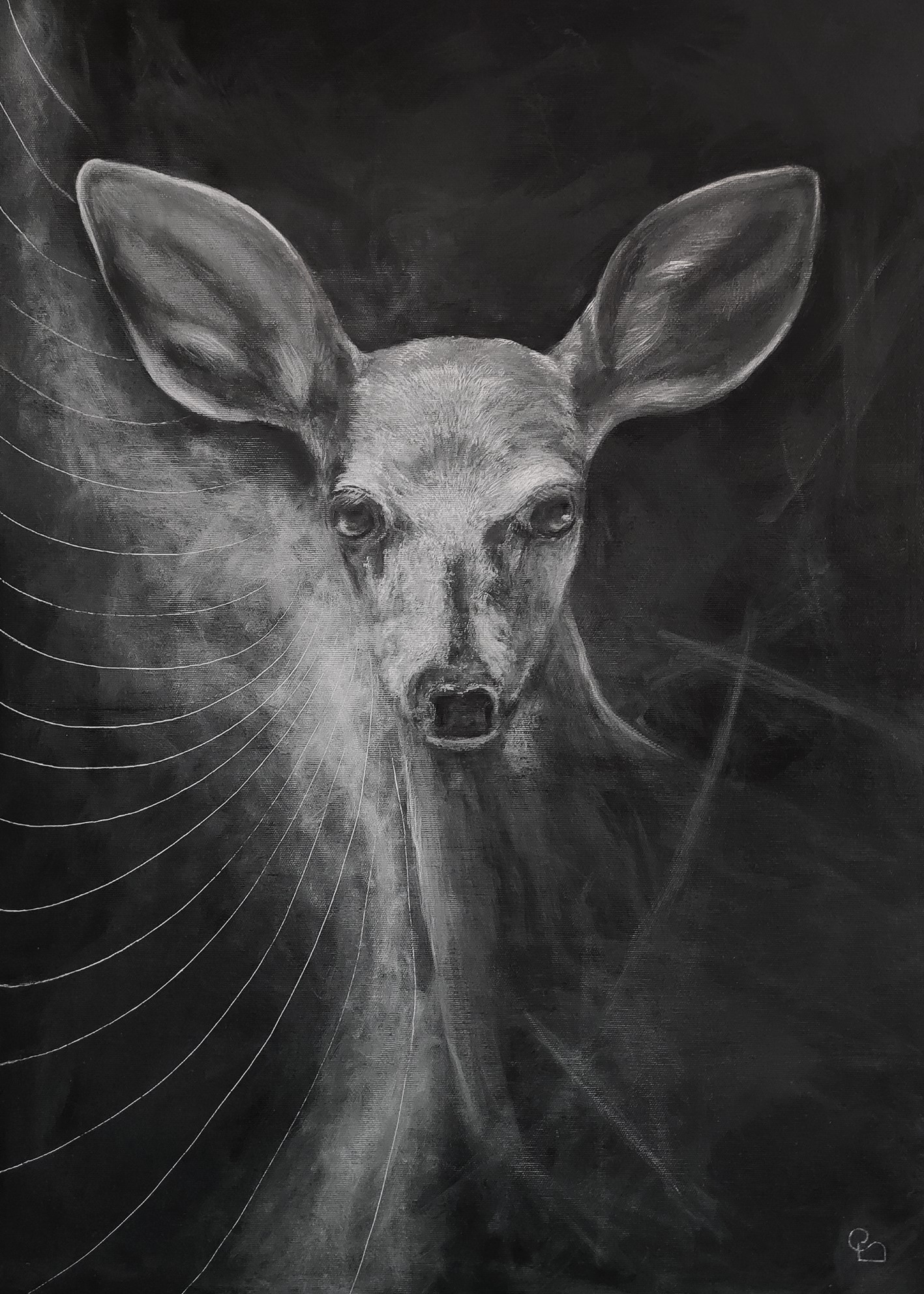 Focus species
