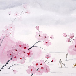 Sakura