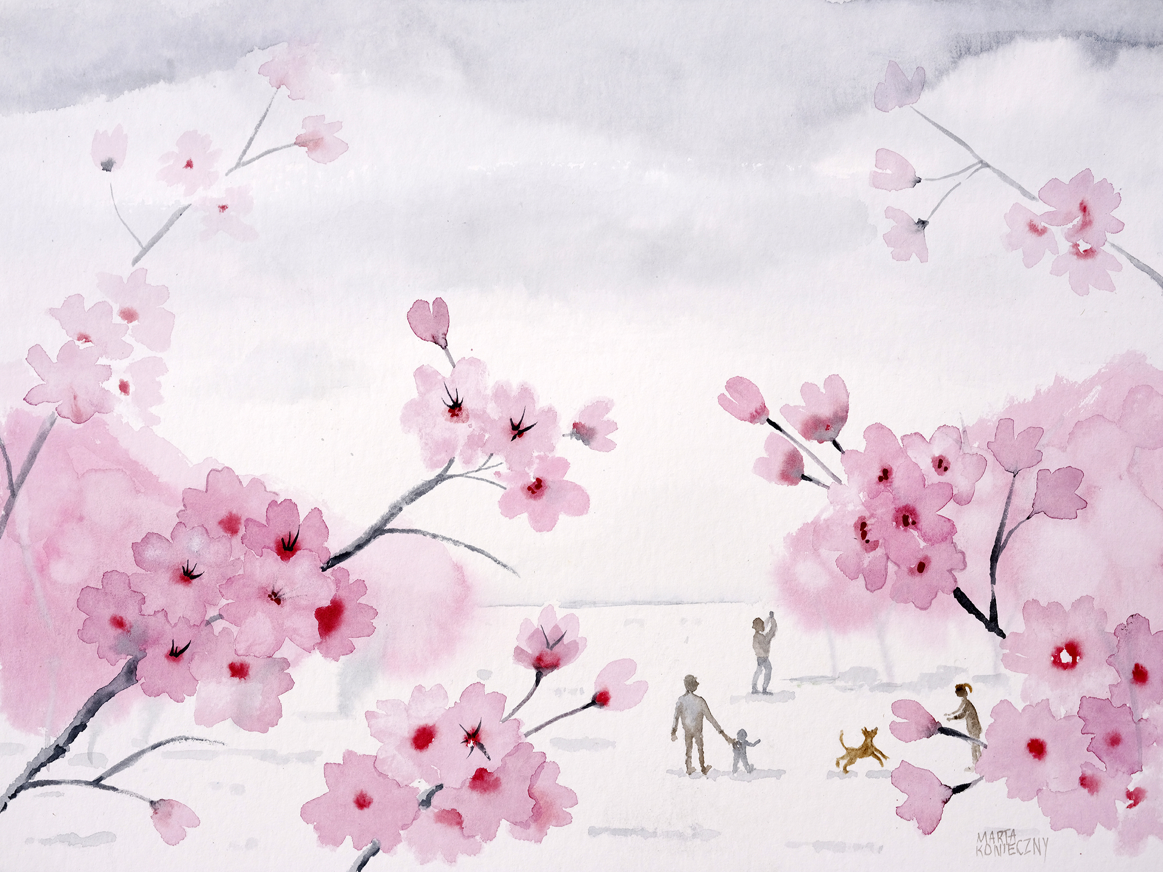 Sakura