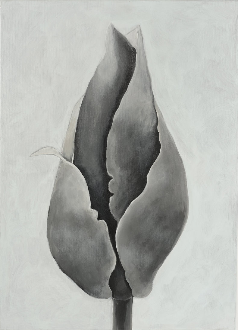 Magnolia