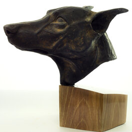 Canis in nigro