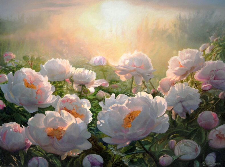 Peonie o poranku