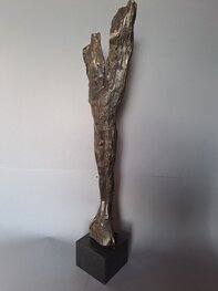 Ikar