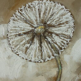Dandelions