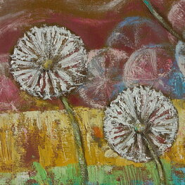 Dandelions