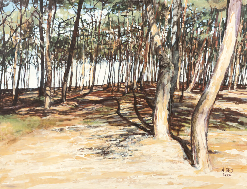 Prześwity 14