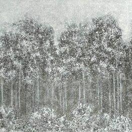 Deep Forest XII