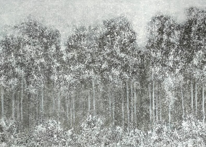 Deep Forest XII