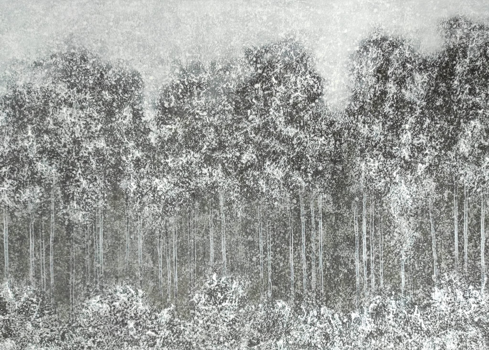 Deep Forest XII