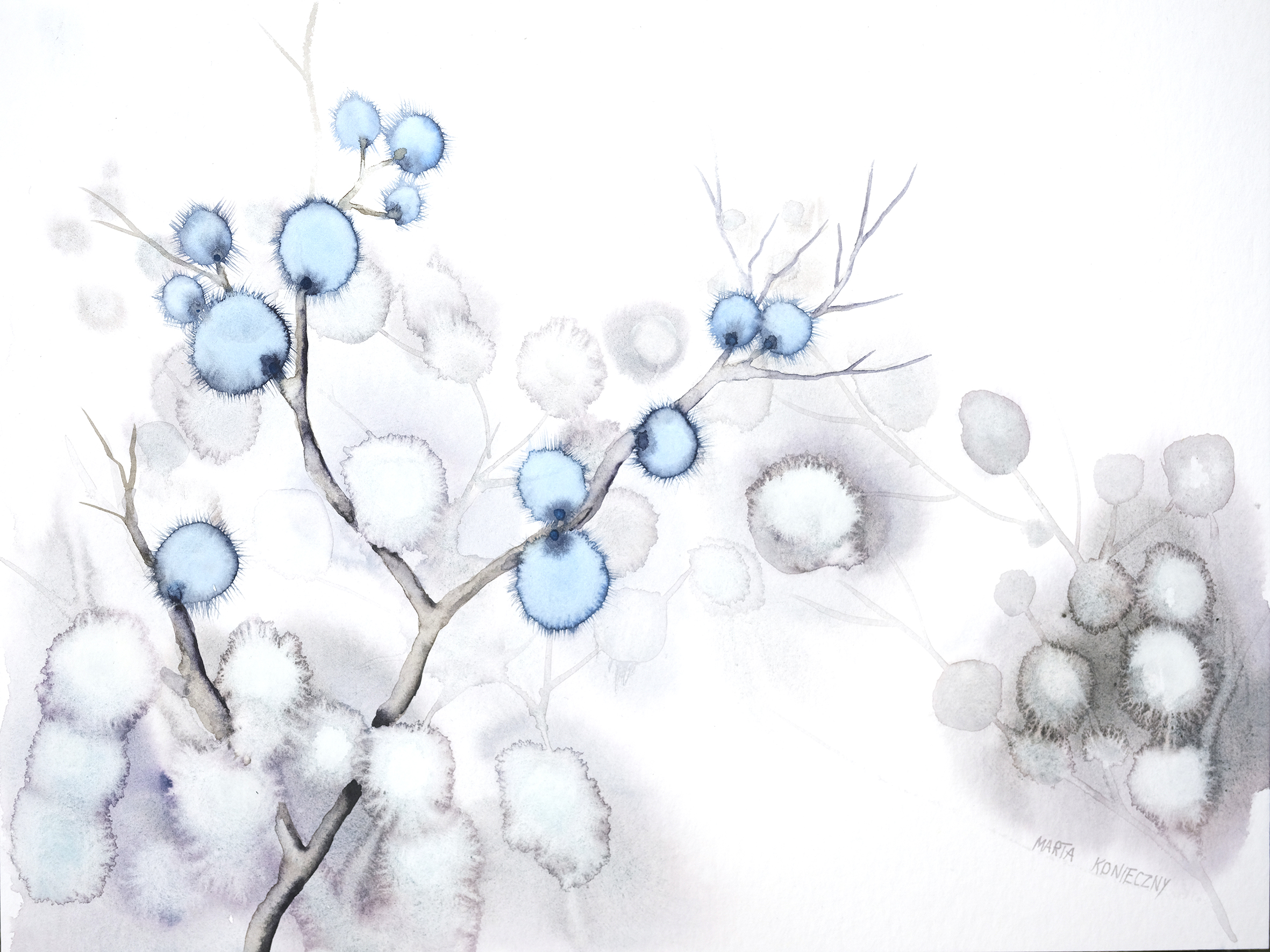 Japanese tree