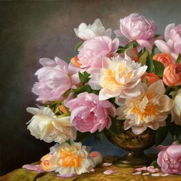 Peonie aksamitne