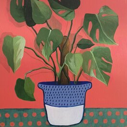Monstera