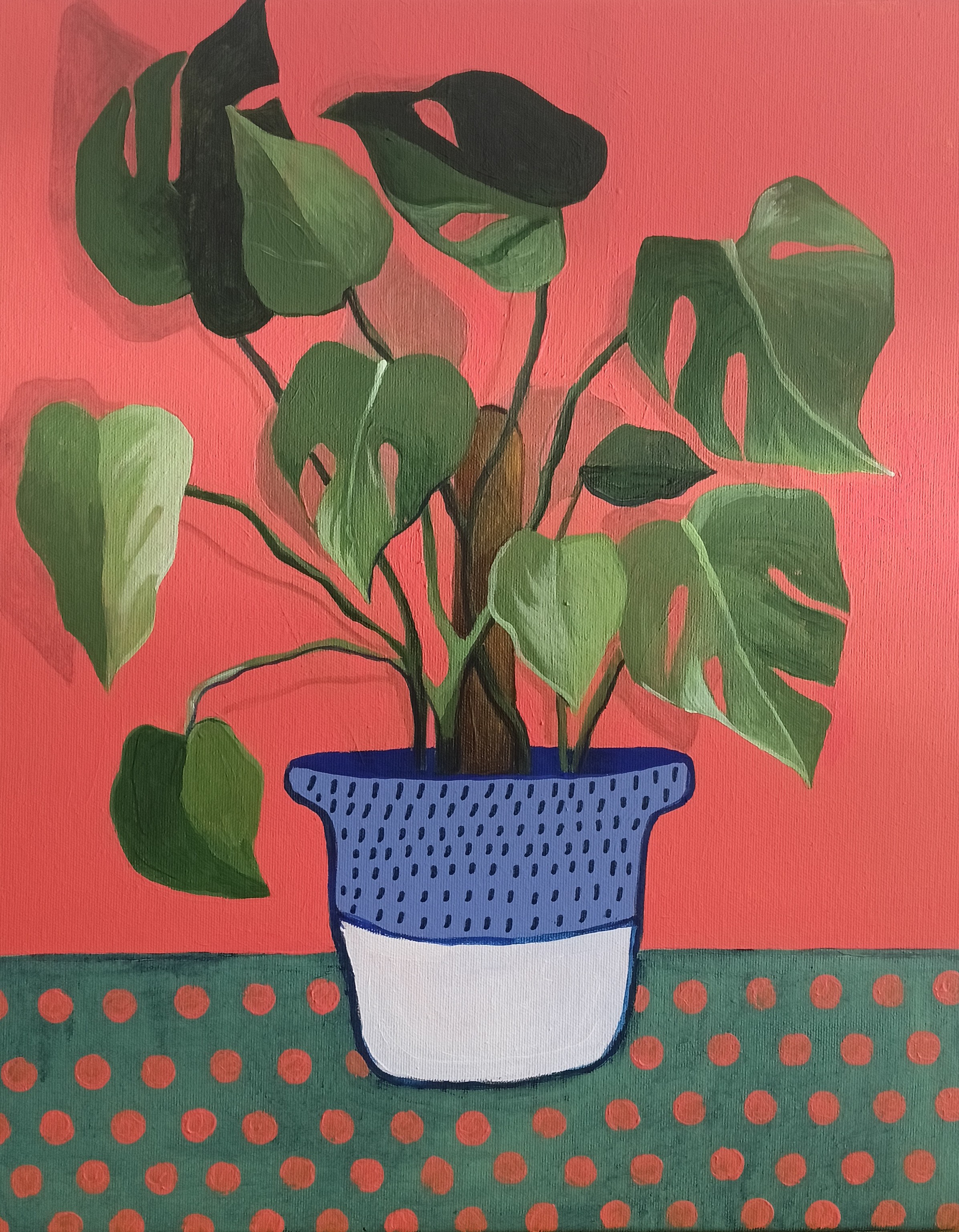 Monstera